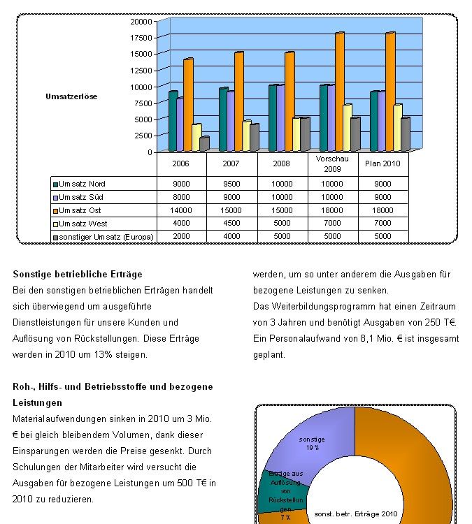 Wirtschaftsplan Vorlage