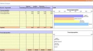 RS-SWOT-Analyse