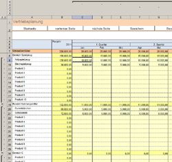 RS-Controlling-System-Vertriebsplanung-250px.jpg